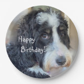 Happy Birthday Schattig Bernedoodle Papieren Bordje (Voorkant)
