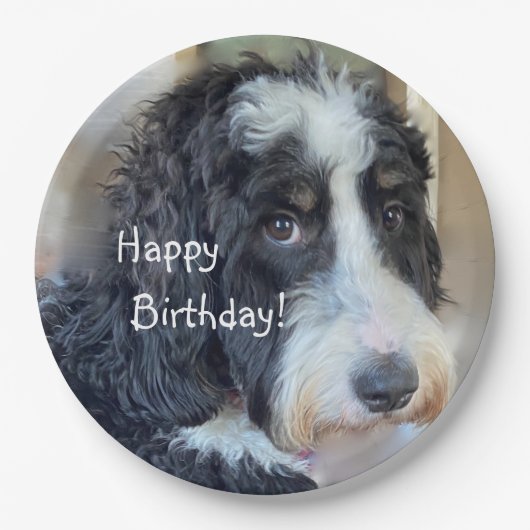 Happy Birthday Schattig Bernedoodle Papieren Bordje (Voorkant)