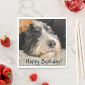 Happy Birthday Schattige Bernedoodle Servet (Insitu)