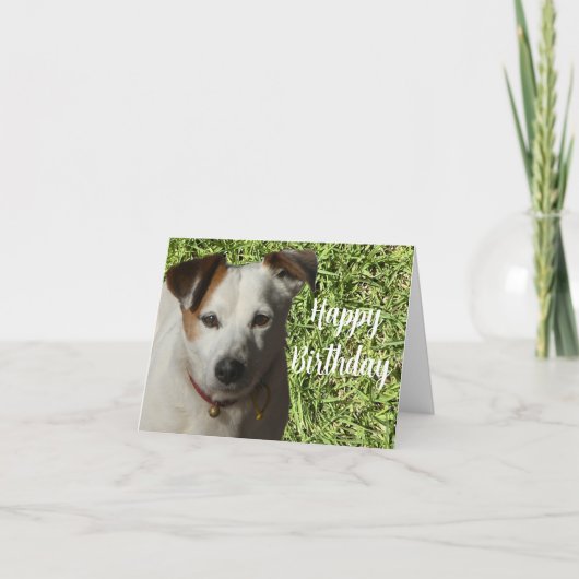 Happy Birthday Schattige Dog Folded Wenskaart Kaart (Voorkant)