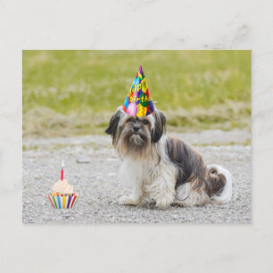 Happy Birthday Schattige Dog met Cupcake Briefkaart