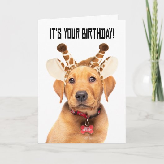 Happy Birthday Schattige Lab Puppy in Giraffe Ears Feestdagen Kaart (Voorkant)