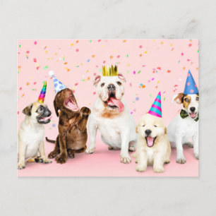 Happy Birthday Schattige Party Animals Briefkaart