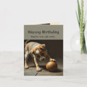 Happy Birthday Schattigee hond Je bent niet oud to Kaart (Voorkant)