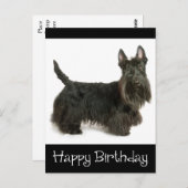 Happy Birthday Schotse Terriër Puppy Briefkaart (Voorkant / Achterkant)