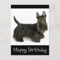 Happy Birthday Schotse Terriër Puppy Briefkaart