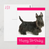 Happy Birthday Schotse Terriër Puppy Briefkaart (Voorkant / Achterkant)