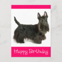 Happy Birthday Schotse Terriër Puppy Briefkaart