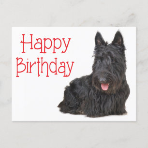 Happy Birthday Schotse Terriër Puppy Briefkaart