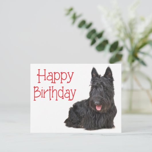 Happy Birthday Schotse Terriër Puppy Briefkaart (Staand voorkant)