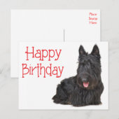 Happy Birthday Schotse Terriër Puppy Briefkaart (Voorkant / Achterkant)