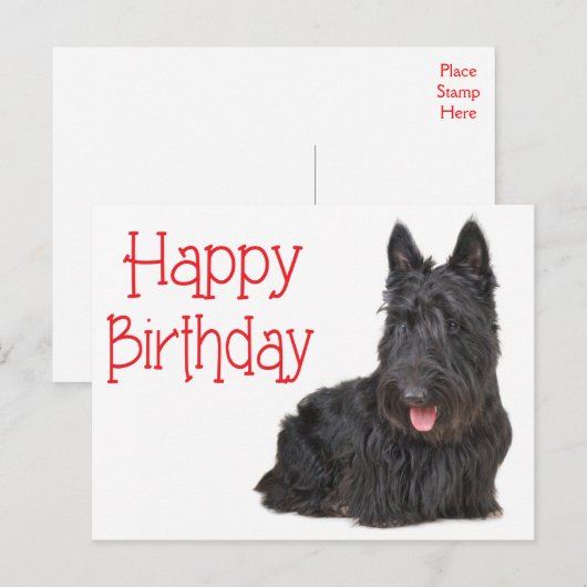 Happy Birthday Schotse Terriër Puppy Briefkaart (Voorkant / Achterkant)