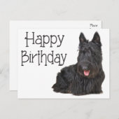 Happy Birthday Schotse Terriër Puppy Briefkaart (Voorkant / Achterkant)