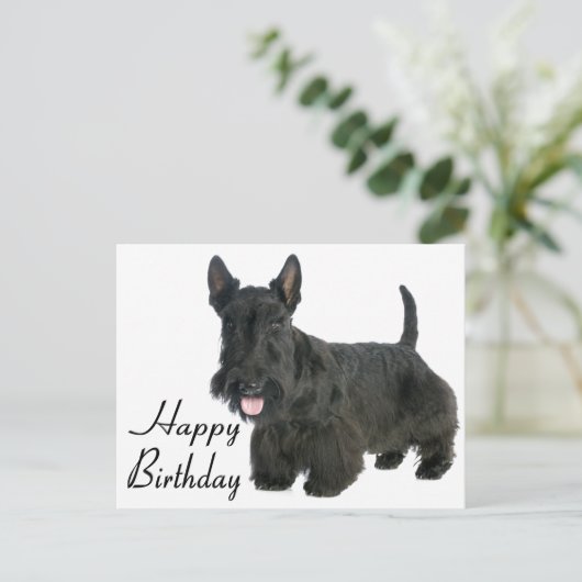Happy Birthday Schotse Terriër Puppy Briefkaart (Staand voorkant)