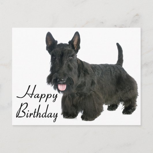 Happy Birthday Schotse Terriër Puppy Briefkaart (Voorkant)