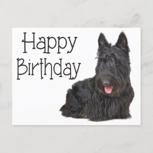 Happy Birthday Scottish Terrier Puppy Briefkaart