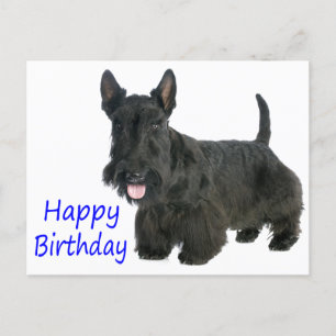 Happy Birthday Scottish Terrier Puppy Briefkaart