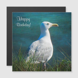 Happy Birthday Seagull Magnetic Kaart