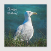 Happy Birthday Seagull Magnetic Kaart (Voorkant)