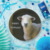 Happy Birthday Sheep Papieren Bordje (Feest)