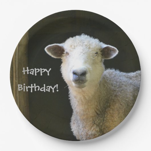 Happy Birthday Sheep Papieren Bordje (Voorkant)