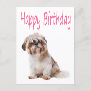 Happy Birthday Shih Tzu Puppy Briefkaart