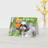 Happy Birthday Shitzu Girl Wenskaart Kaart (Gele Bloem)