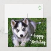 Happy Birthday Siberian Husky Puppy Dog Post Card Briefkaart (Voorkant / Achterkant)