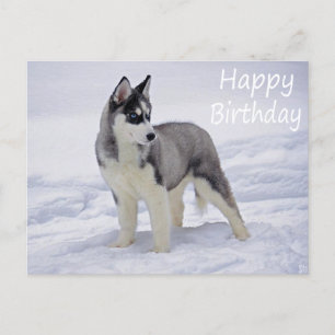 Happy Birthday Siberian Husky Puppy Dog Post Card Briefkaart
