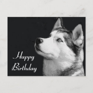 Happy Birthday Siberian Husky Puppy Dog Post Card Briefkaart