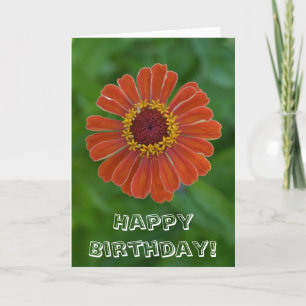 Happy Birthday Sinaasappel Zinnia bloesem Kaart