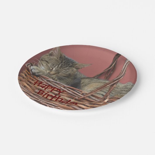 Happy Birthday Slaping Kat Paper Bord (Gekanteld)