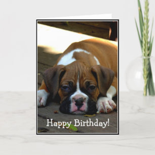 Happy Birthday Sleepy boxer puppy wenskaart Kaart
