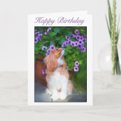 Happy Birthday Smelling Flowers King Charles Dog Kaart (Voorkant)
