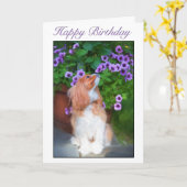 Happy Birthday Smelling Flowers King Charles Dog Kaart (Gele Bloem)
