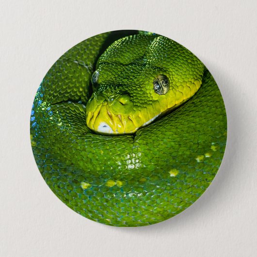 Happy Birthday Snake Button (Voorkant)