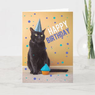 Happy Birthday Social Distancing Cat Party Humor Feestdagen Kaart