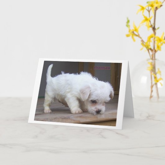 Happy Birthday Son Kaart (Gele Bloem)