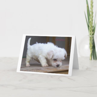 Happy Birthday Son Kaart