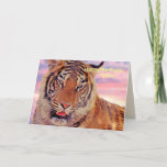 "Happy Birthday, Son" Tiger op Sunset Kaart<br><div class="desc">Een foto van een Sleepy Tiger op Sunset.</div>