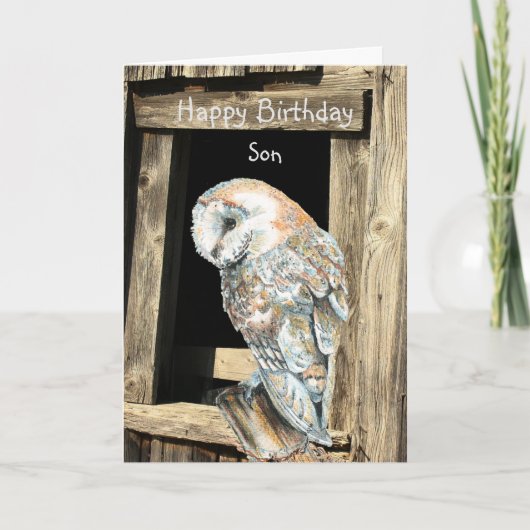 Happy Birthday Son Waterverf Barn Owl Feestdagen Kaart (Voorkant)