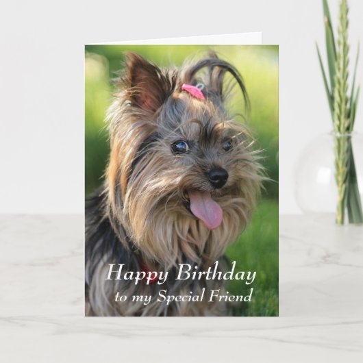 Happy Birthday Special Friend Fun Yorkie Dog Kaart (Voorkant)