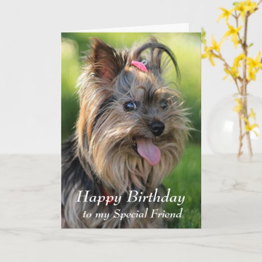 Happy Birthday Special Friend Fun Yorkie Dog Kaart (Gele Bloem)