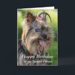 Happy Birthday Special Friend Fun Yorkie Dog Kaart<br><div class="desc">Happy Birthday Special Friend Fun Yorkie,  Yorkshire Terrier Dog</div>