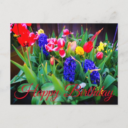 Happy Birthday Spring Flowers #3 Briefkaart (Voorkant)