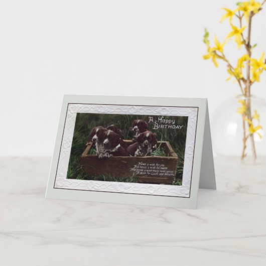  Happy Birthday Springer Spaniel puppies Kaart (Gele Bloem)