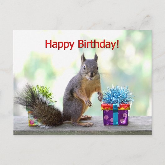 Happy Birthday Squirrel Briefkaart (Voorkant)