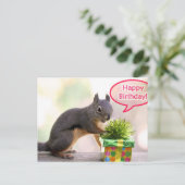 Happy Birthday Squirrel Briefkaart (Staand voorkant)