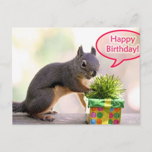 Happy Birthday Squirrel Briefkaart (Voorkant)