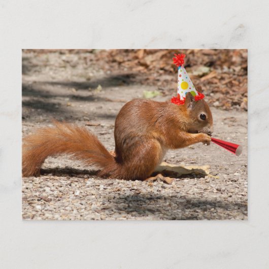 Happy Birthday Squirrel Briefkaart (Voorkant)